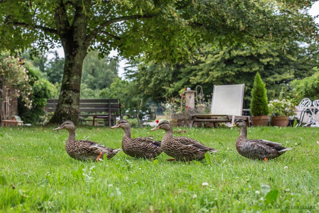 Bed and Breakfast La Ferme De Marie Eugenie Bruailles Экстерьер фото
